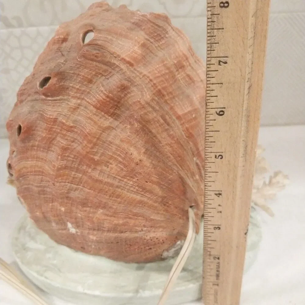 Vintage Abalone Shell Sailboat Lamp Handmade Nautical Coastal Coral Light Decor